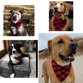 Dogs wearing Moreloveu custom plaid dog bandana with buffalo check pattern – personalized pet scarf lifestyle photo