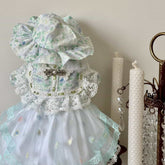 Customizable Delicate Pet Dress in Light Blue with Floral Accents and Lace Trim