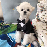 Customizable Pet Tuxedo Suit - Stylish Formal Wear