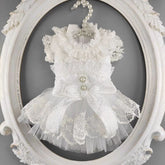 Customizable Pet Wedding Dress - Elegant Lace Bridal Gown