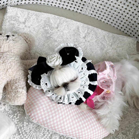 Customizable Pet Elizabethan Collar with Bow and Unique Designs