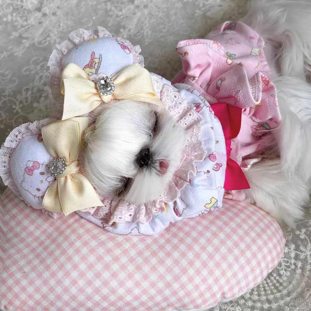 Customizable Pet Elizabethan Collar with Bow and Unique Designs