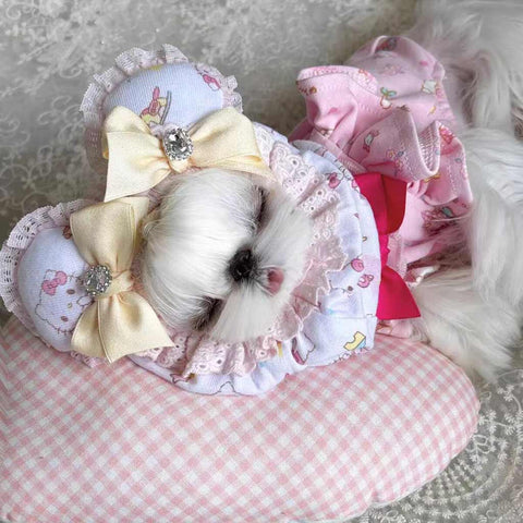 Customizable Pet Elizabethan Collar with Bow and Unique Designs