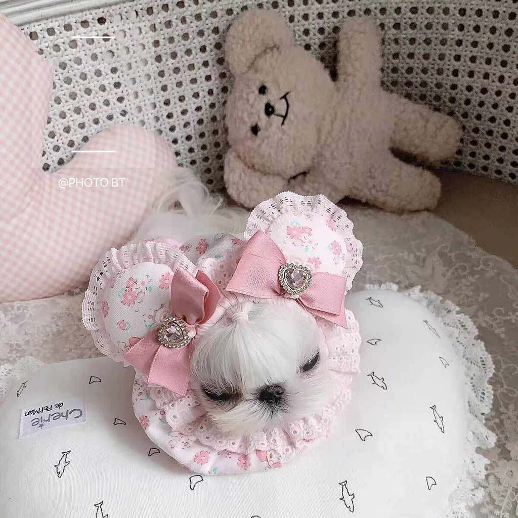 Customizable Pet Elizabethan Collar with Bow and Unique Designs