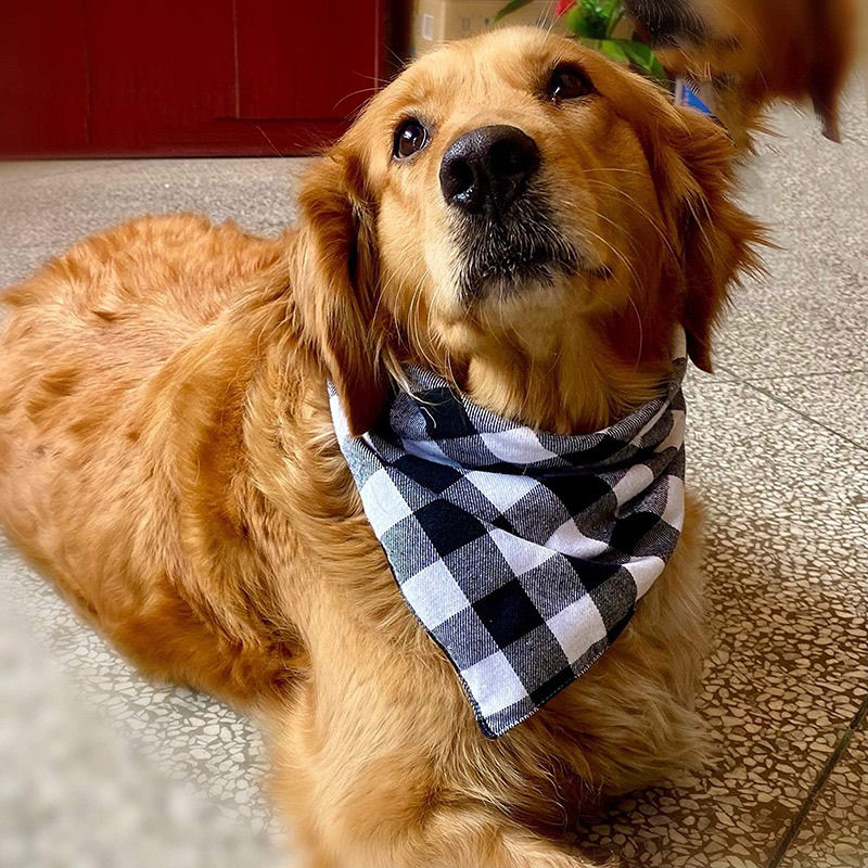 Golden retriever wearing Moreloveu custom plaid dog bandana with buffalo check pattern – personalized pet scarf