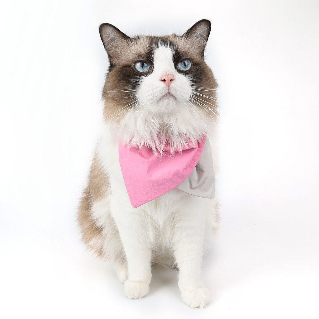 cat wearing Moreloveu custom reversible dog bandana with snap buttons in pink and beige