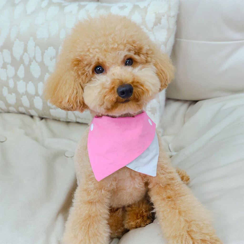 dog wearing Moreloveu custom reversible dog bandana with snap buttons in pink and beige