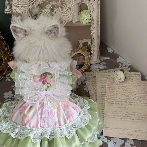 Customizable Pink and Green Pet Dress with Ruffled Lace and Pearl Details