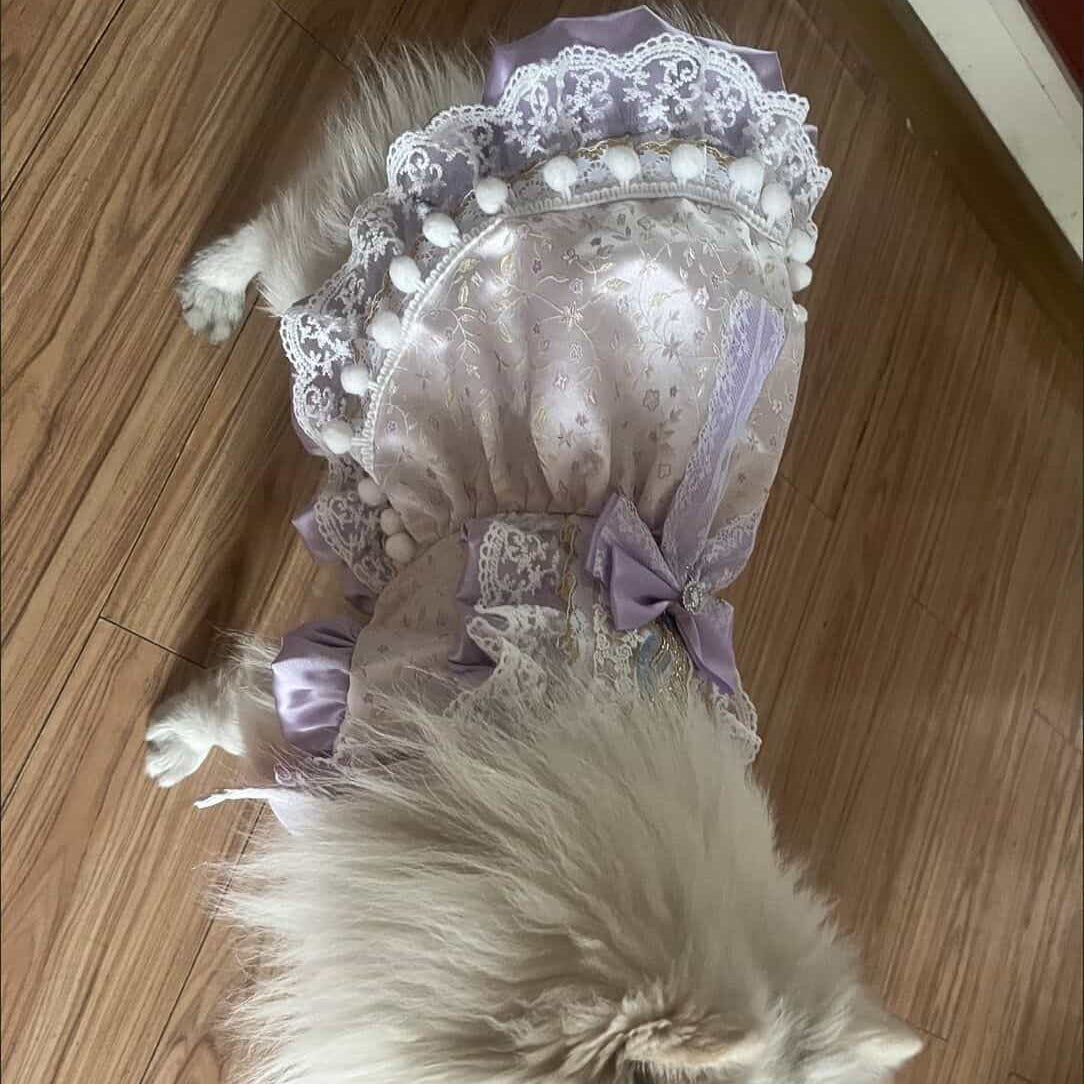 Customizable Elegant Pet Dress in Lavender and White with Lace and Bow Embellishments