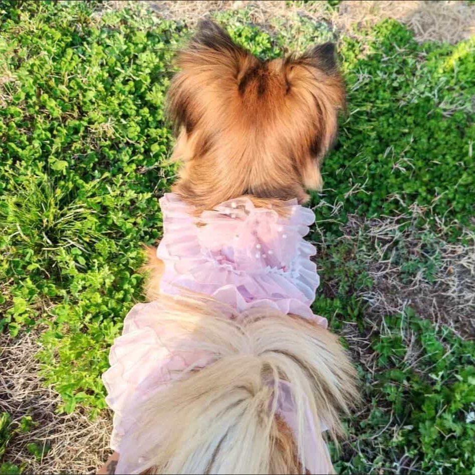 Customizable Elegant Pet Dress with Ruffled Layers and Pearl Accents