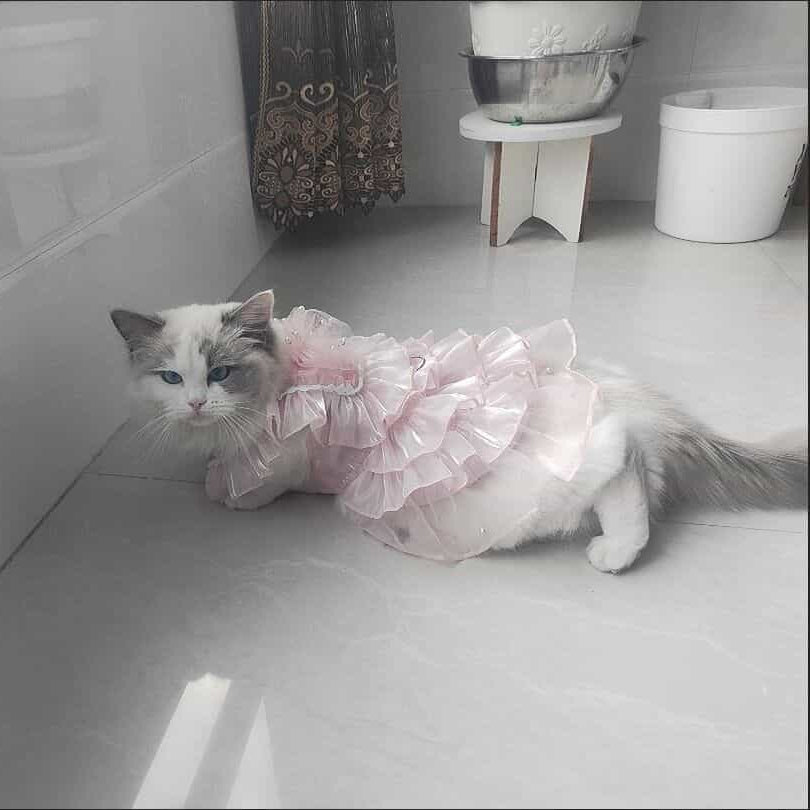 Customizable Elegant Pet Dress with Ruffled Layers and Pearl Accents