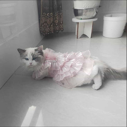 Customizable Elegant Pet Dress with Ruffled Layers and Pearl Accents