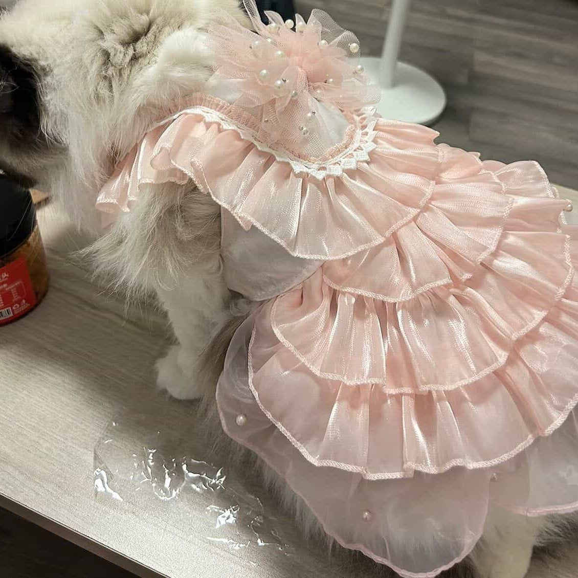 Customizable Elegant Pet Dress with Ruffled Layers and Pearl Accents