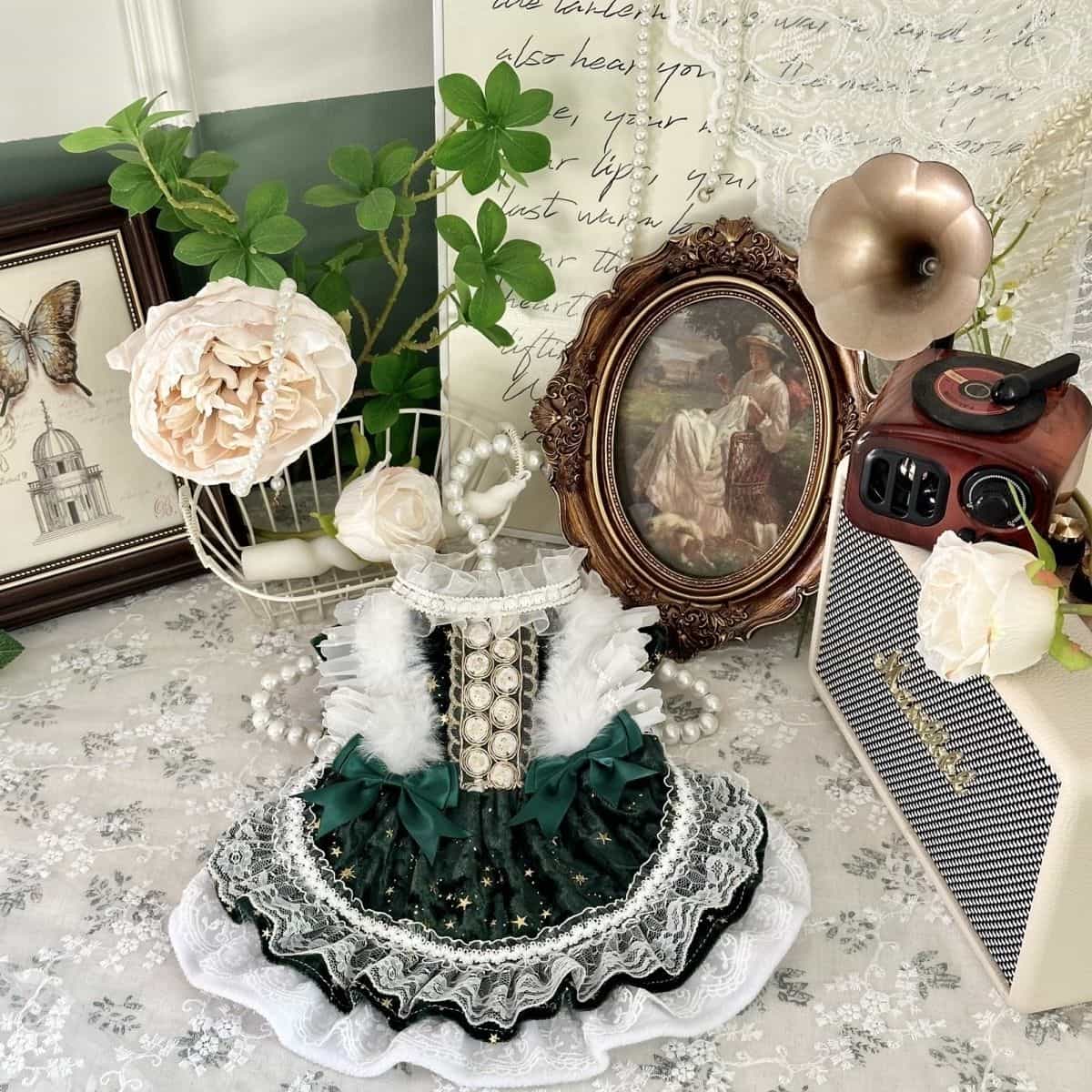 Customizable Elegant Pet Dress in Deep Green with White Lace and Star Accents