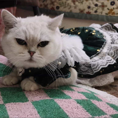 Customizable Elegant Pet Dress in Deep Green with White Lace and Star Accents