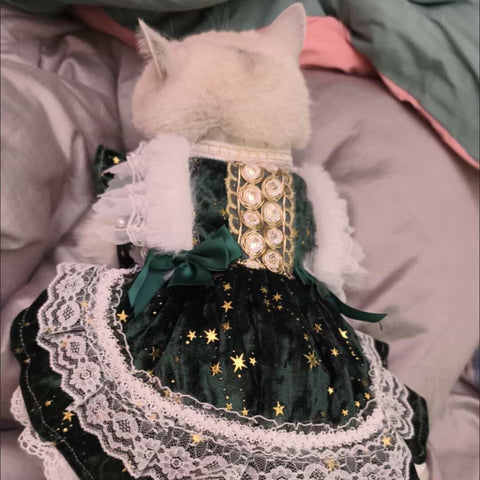 Customizable Elegant Pet Dress in Deep Green with White Lace and Star Accents