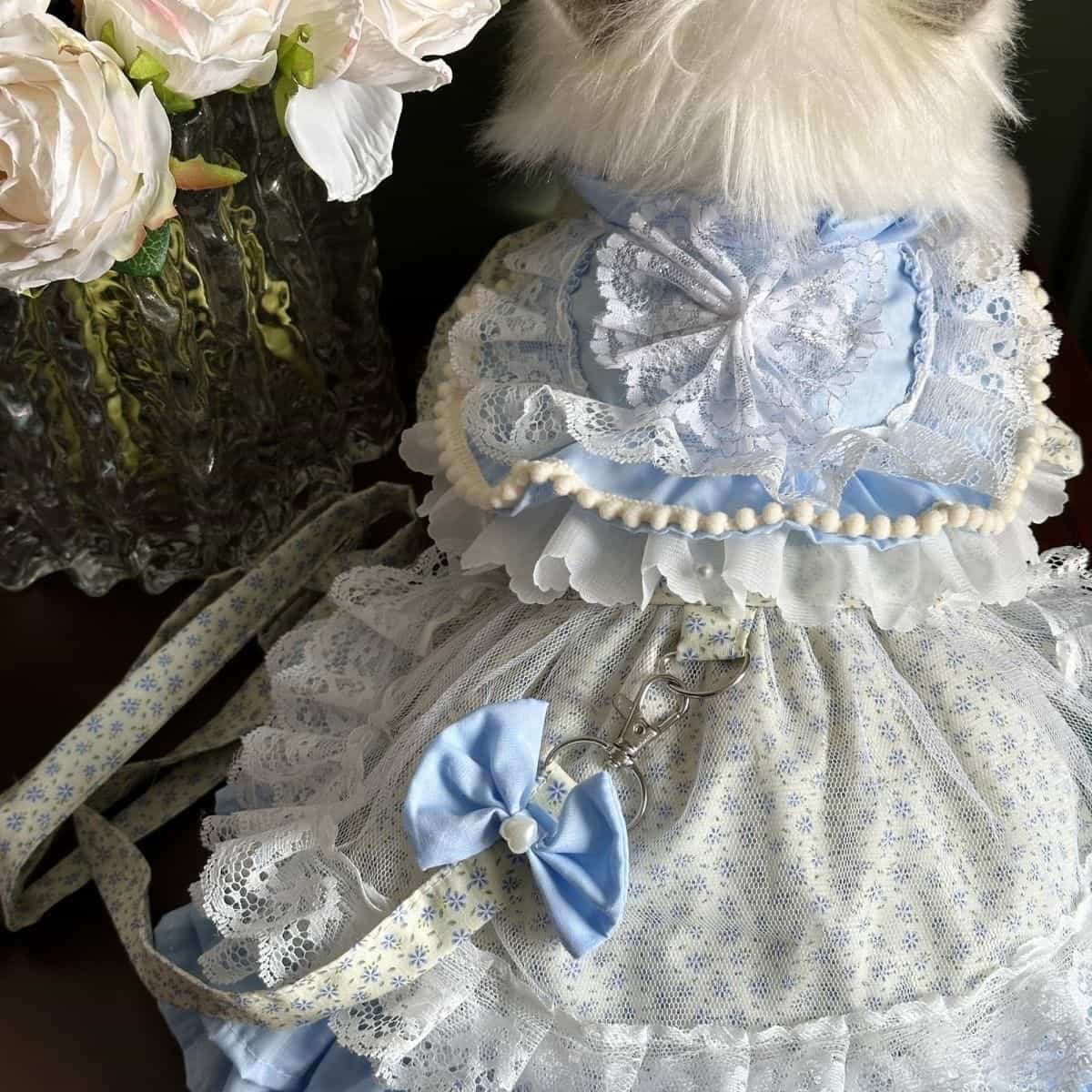 Customizable Charming Pet Dress in Sky Blue with Lace Ruffles and Bow Details