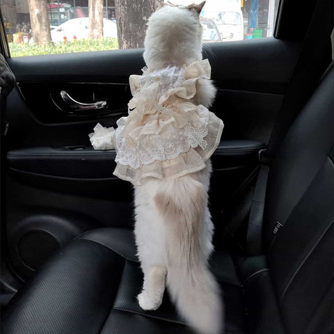 Customizable Elegant Cream Pet Dress with Ruffles and Oversized Bow