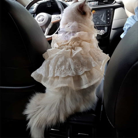 Customizable Elegant Cream Pet Dress with Ruffles and Oversized Bow