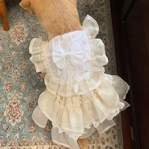 Customizable Elegant Cream Pet Dress with Ruffles and Oversized Bow