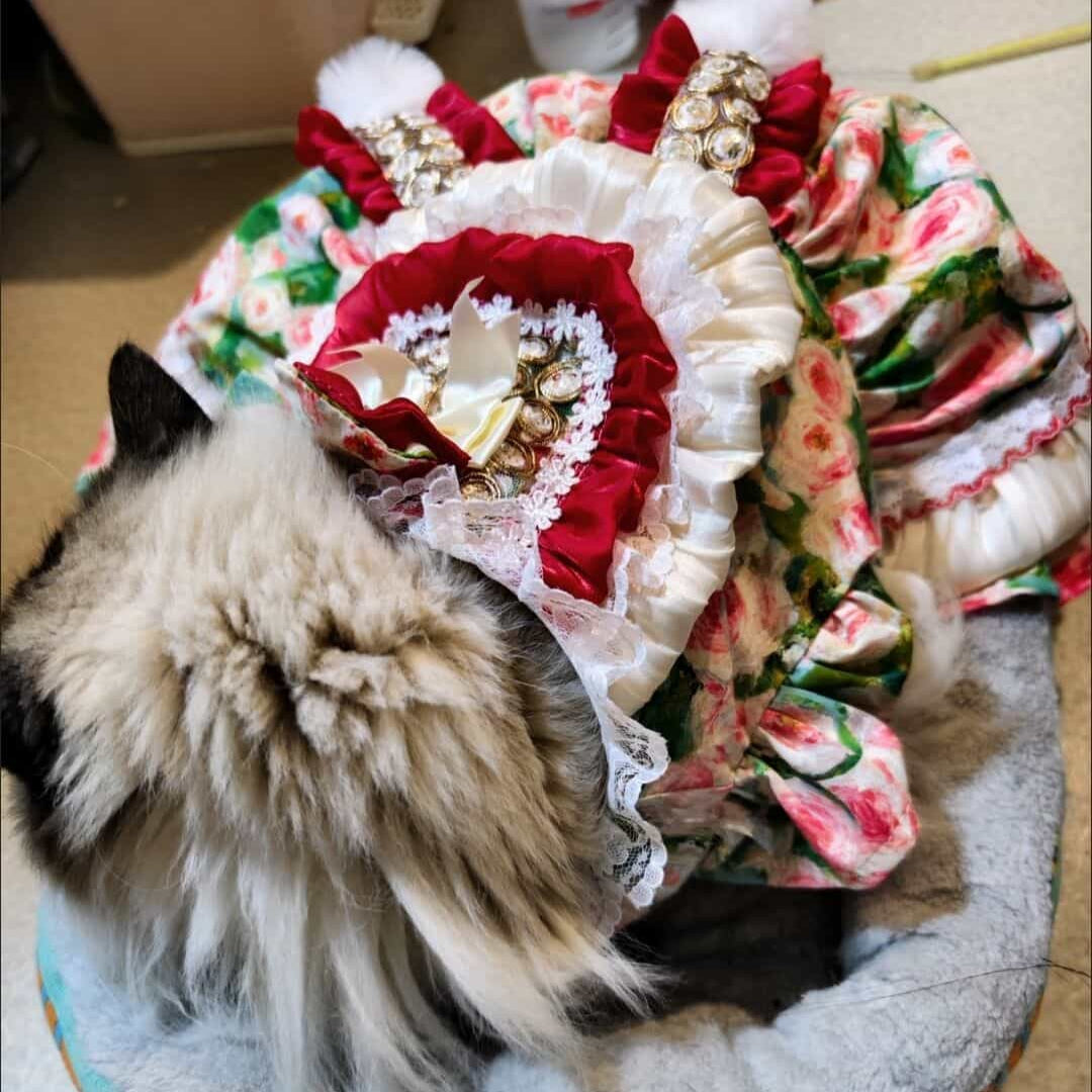 Customizable Charming Pet Dress in Cream and Burgundy with Floral Print and Fur Pom-Poms
