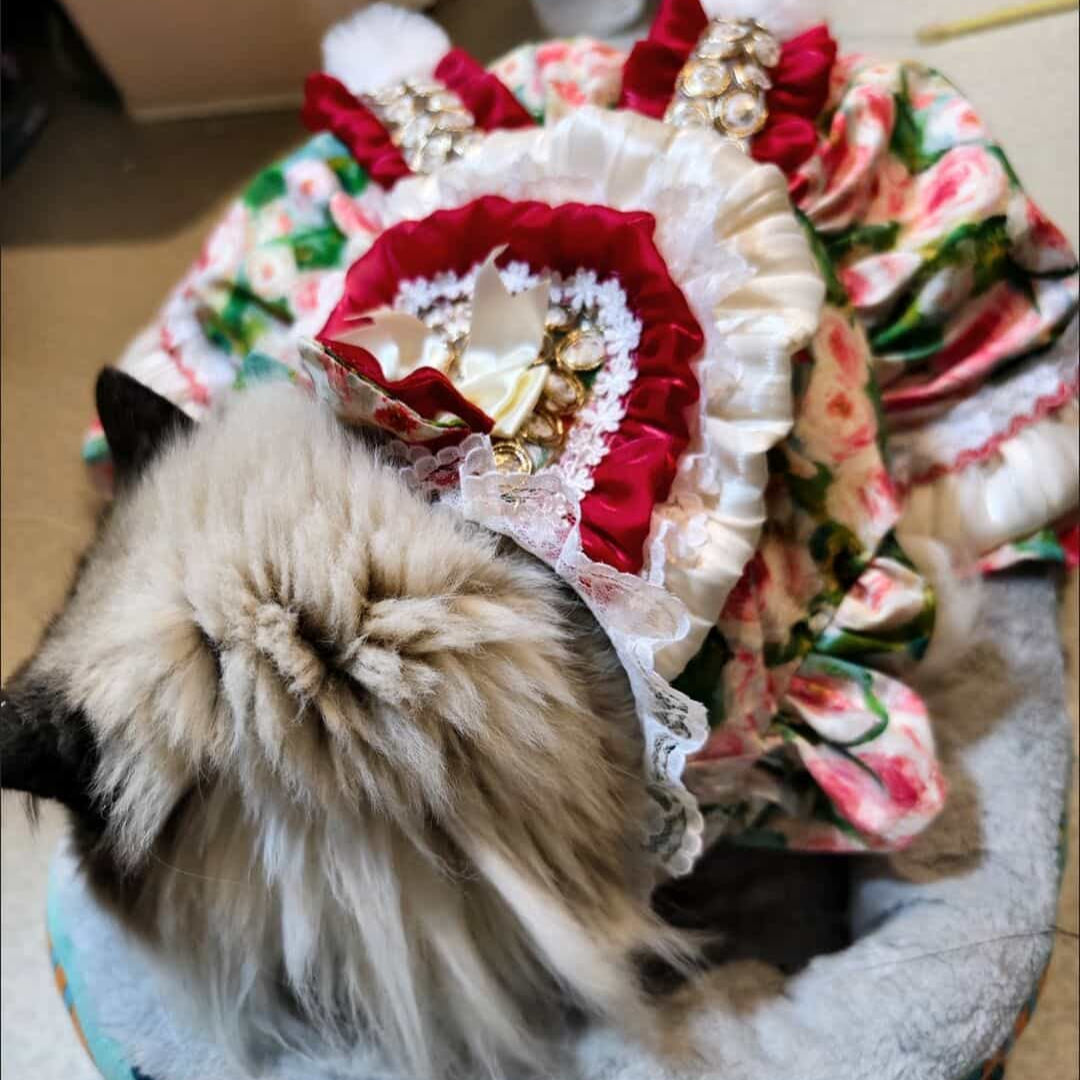 Customizable Charming Pet Dress in Cream and Burgundy with Floral Print and Fur Pom-Poms