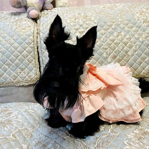 Customizable Sweet Pet Dress in Soft Pink with Lace Ruffles and a Large Bow