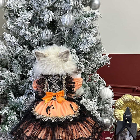 Customizable Spooky Pet Dress in Pumpkin Orange with Black Lace and Ghost Accents