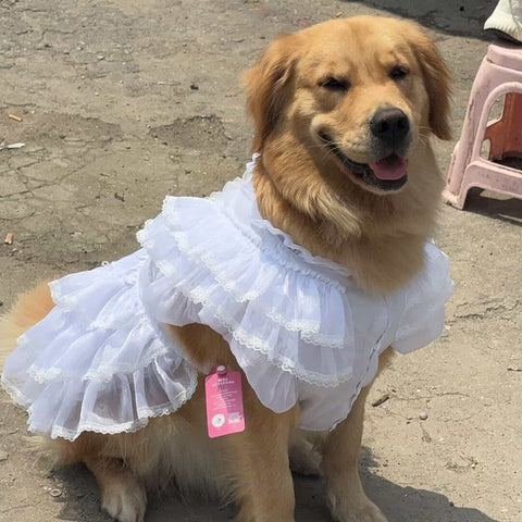 Customizable Elegant Pet Dress in Classic White with Ruffled Layers and Pearl Accents