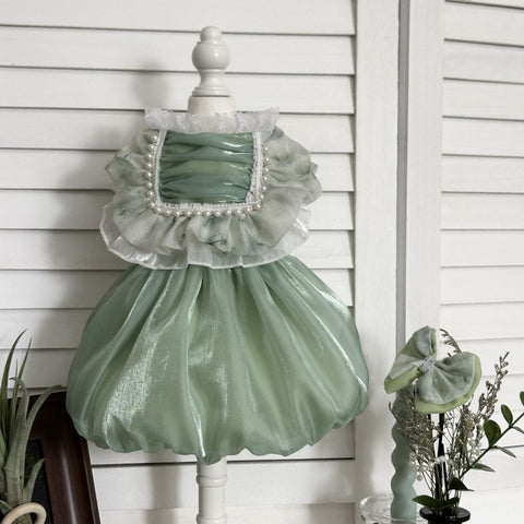 Customizable Mint Green Pet Dress with Ruffled Collar and Pearl Accents