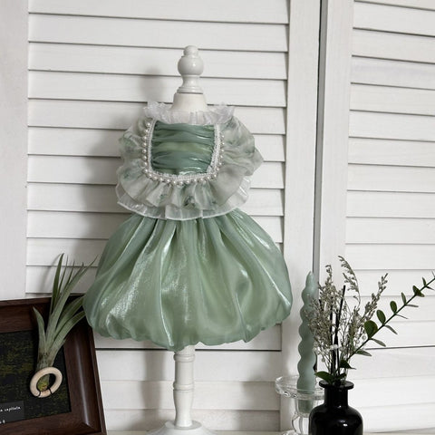 Customizable Mint Green Pet Dress with Ruffled Collar and Pearl Accents