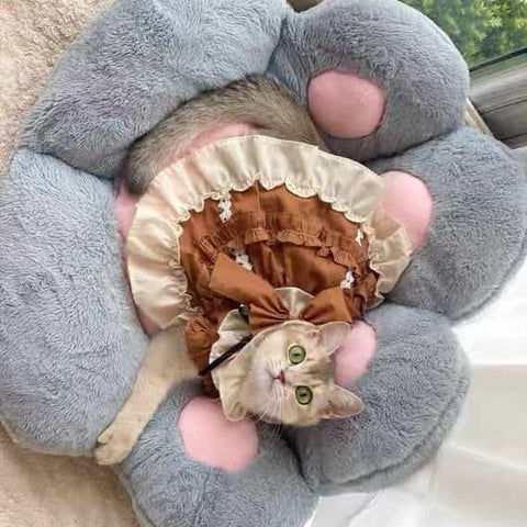 Robe personnalisable marron et crème pour animaux de compagnie avec volants et nœud