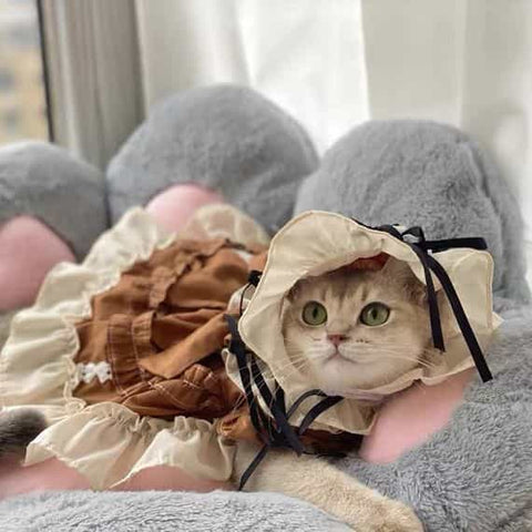 Robe personnalisable marron et crème pour animaux de compagnie avec volants et nœud