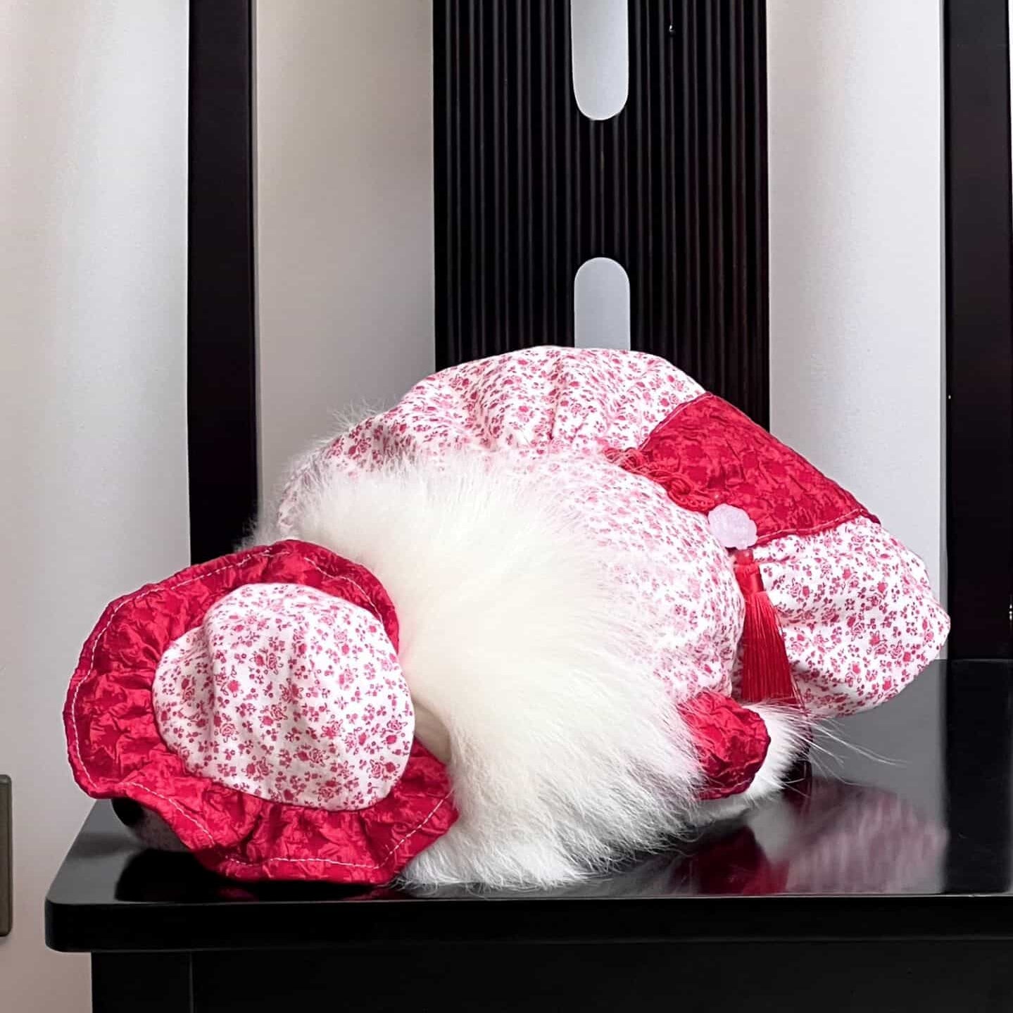 Customizable Adorable Pet Dress in Red and White Floral Pattern with Tassel Accents