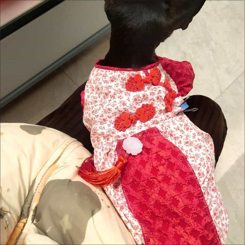 Customizable Adorable Pet Dress in Red and White Floral Pattern with Tassel Accents
